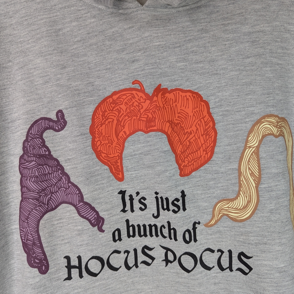 Disney's Hocus Pocus Womens Gray Sanderson Sisters Witch Hoodie Sweatshirt 2XL - Picture 2 of 11